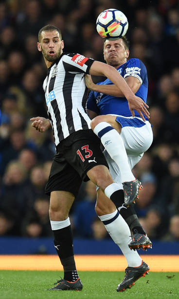 的调教工作 的调教工作